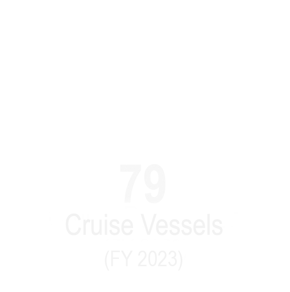 Cruise passengers copy 2